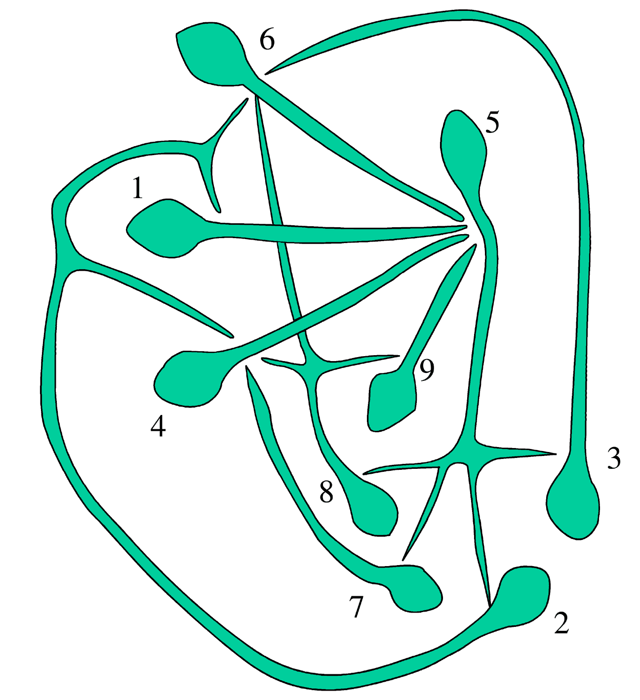kaavio.jpg (60443 bytes)