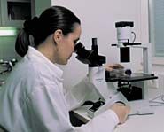 soluanalyysi